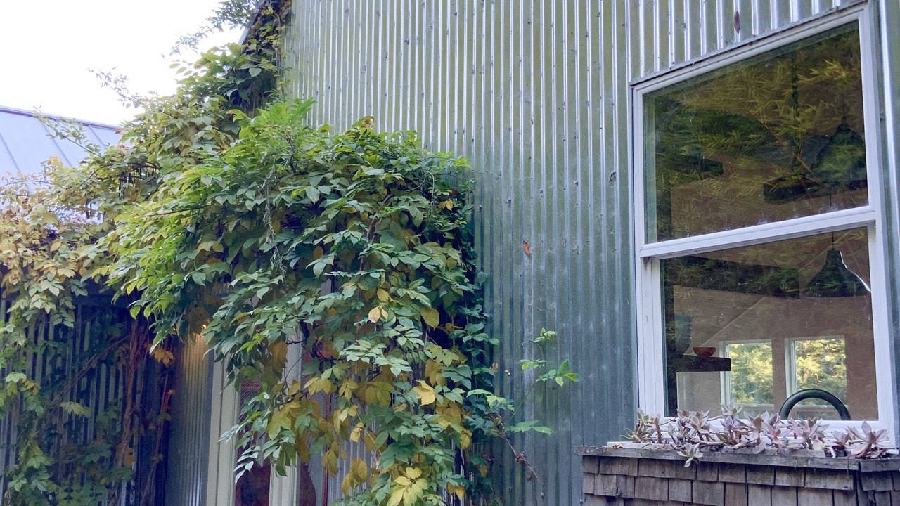 Photo of Outdoor in Freestone