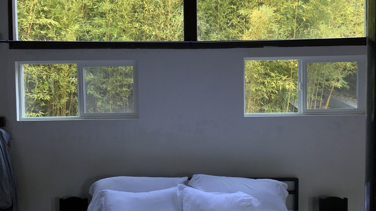 Photo of Others in Freestone