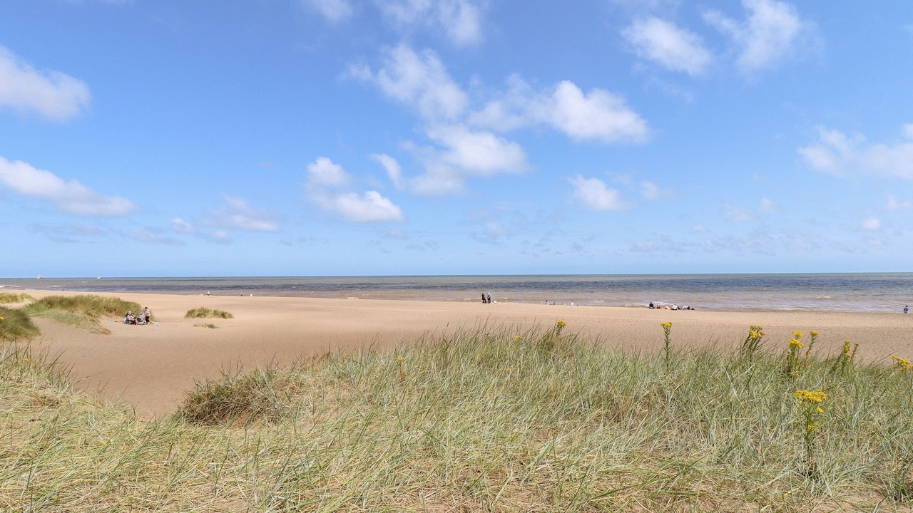 Photo of Others in Anderby Creek