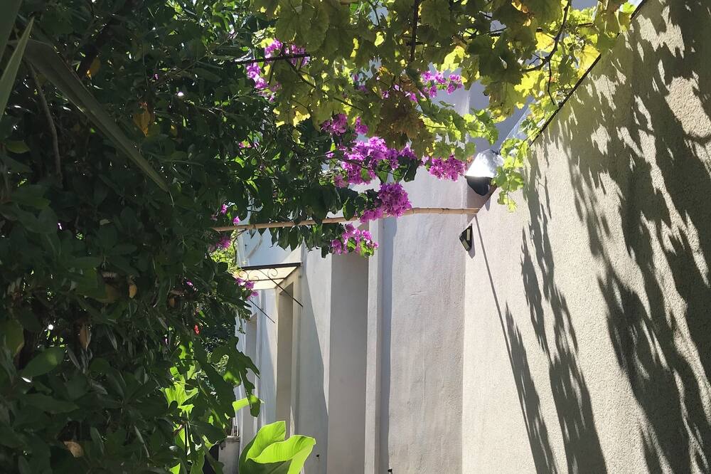 Photo of Outdoor in Lattes