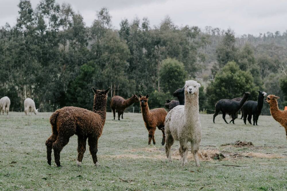 Photo of Others in Glenburn
