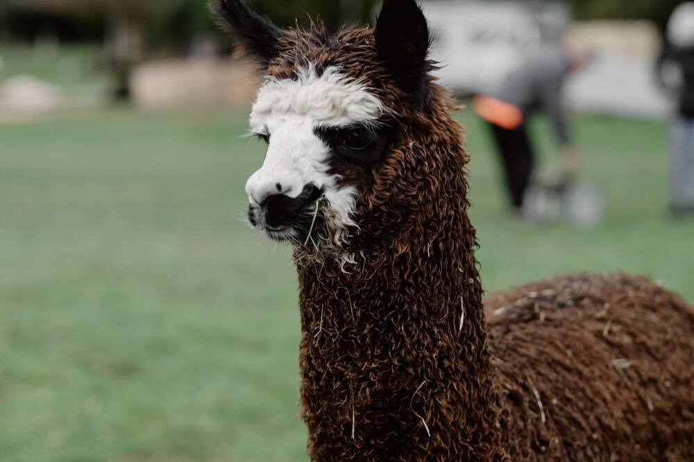 Photo of Others in Glenburn