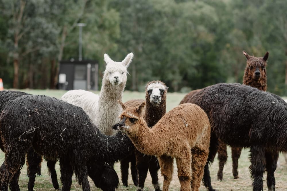 Photo of Others in Glenburn