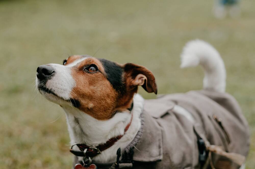 Photo of Others in Glenburn