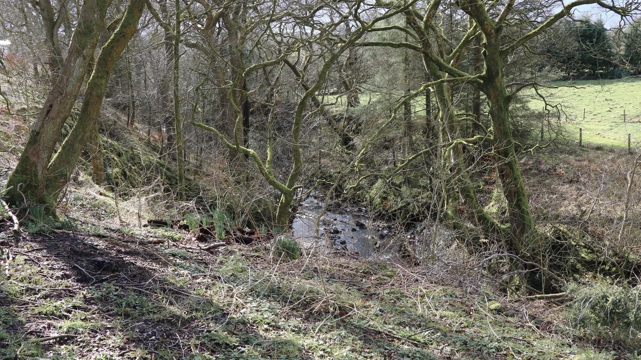 Photo of Others in Fourstones Near Bentham