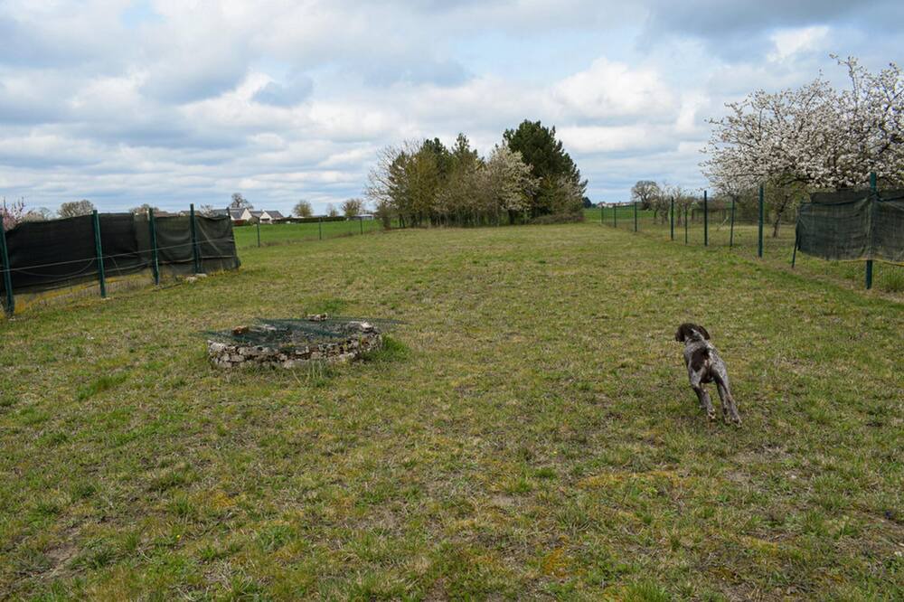 Photo of Outdoor in Channay-sur-Lathan