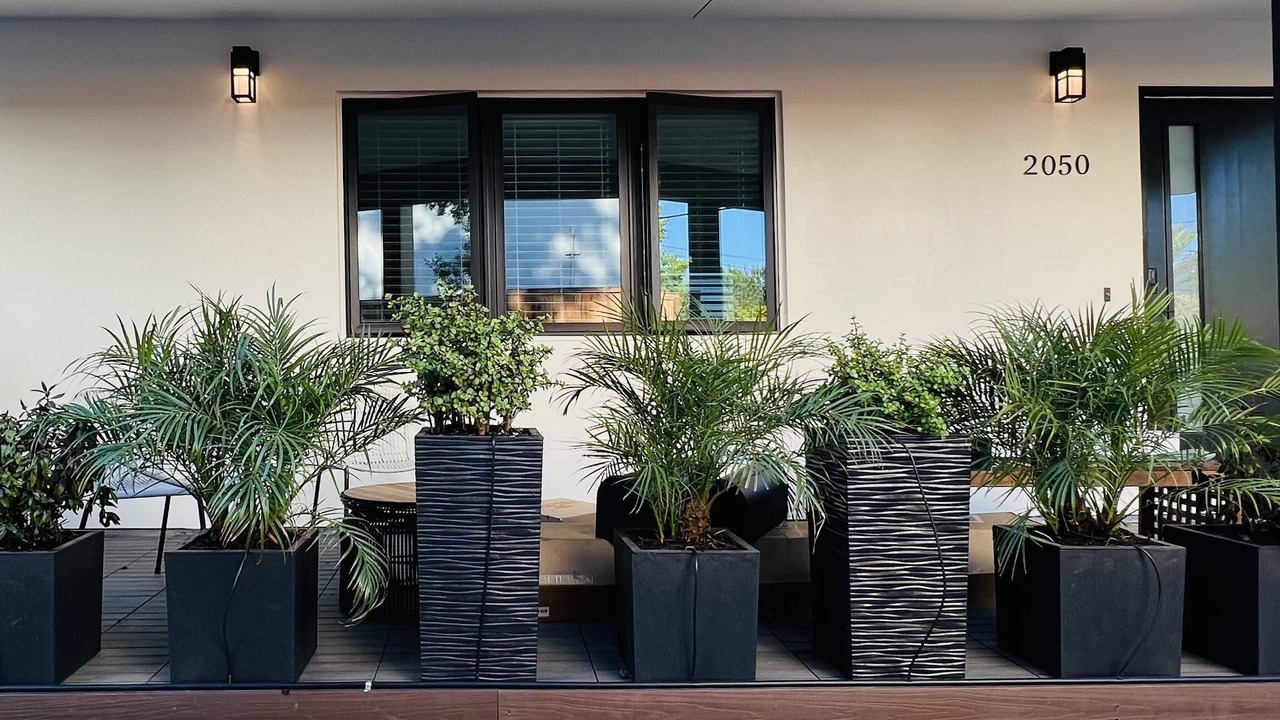 Photo of Outdoor in College Terrace