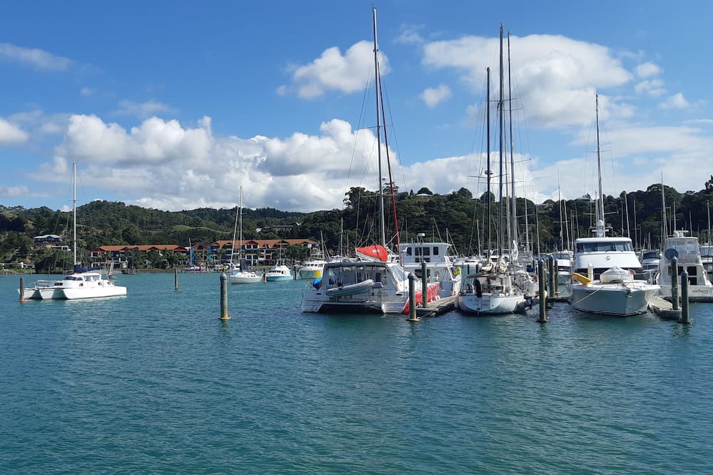 Photo of Outdoor in Tutukaka