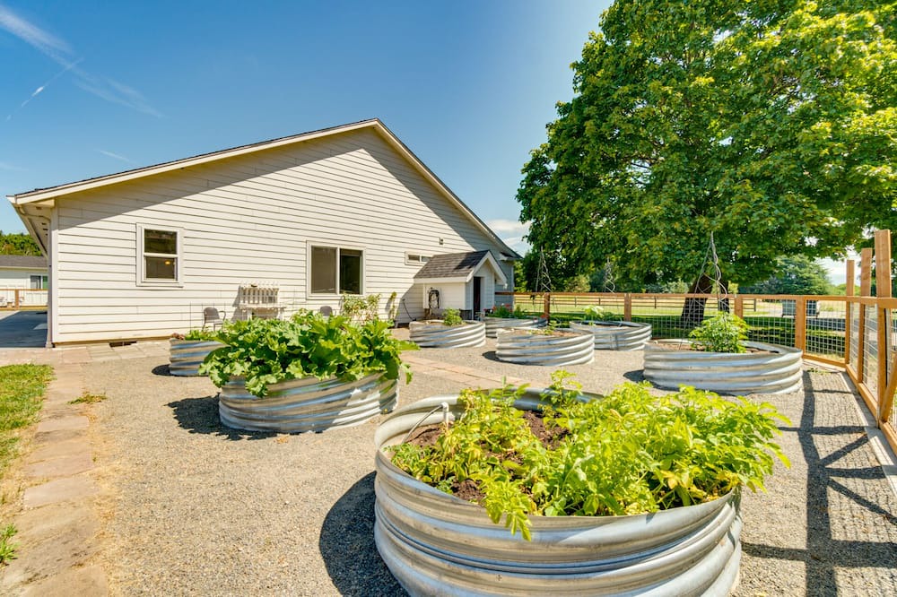 Photo of Outdoor in Meadow Glade