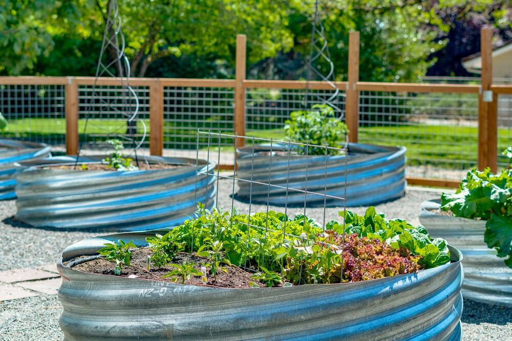 Photo of Others in Meadow Glade