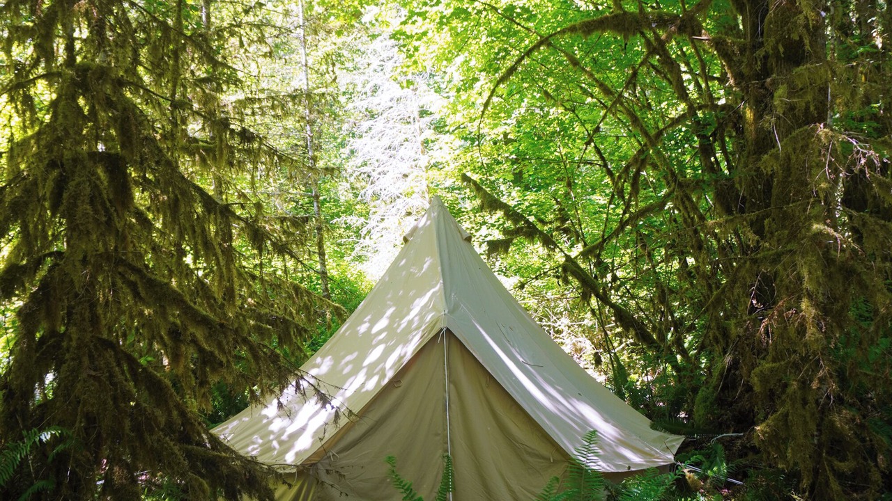 Photo of Outdoor in Port Angeles