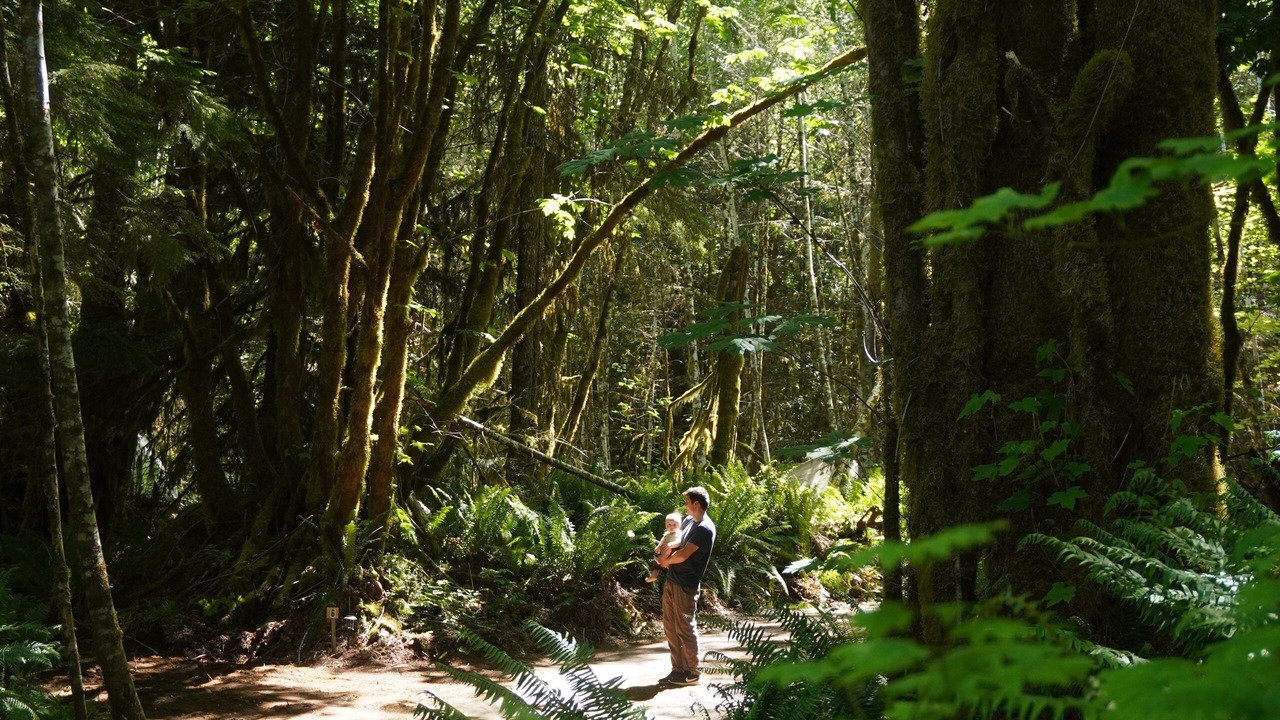 Photo of Patio Balcony in Port Angeles