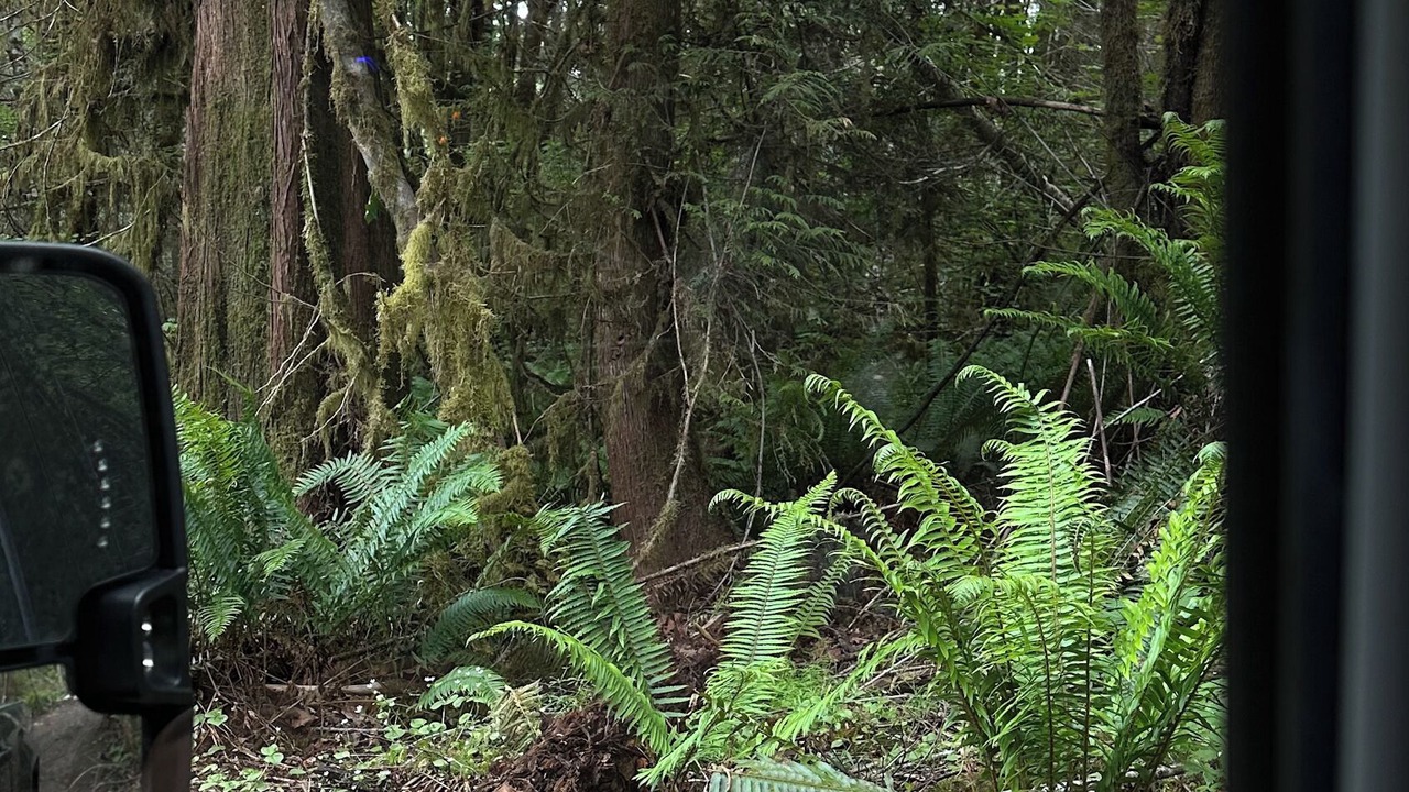 Photo of Outdoor in Port Angeles