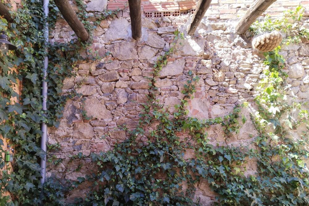 Photo of Outdoor in Hostalric