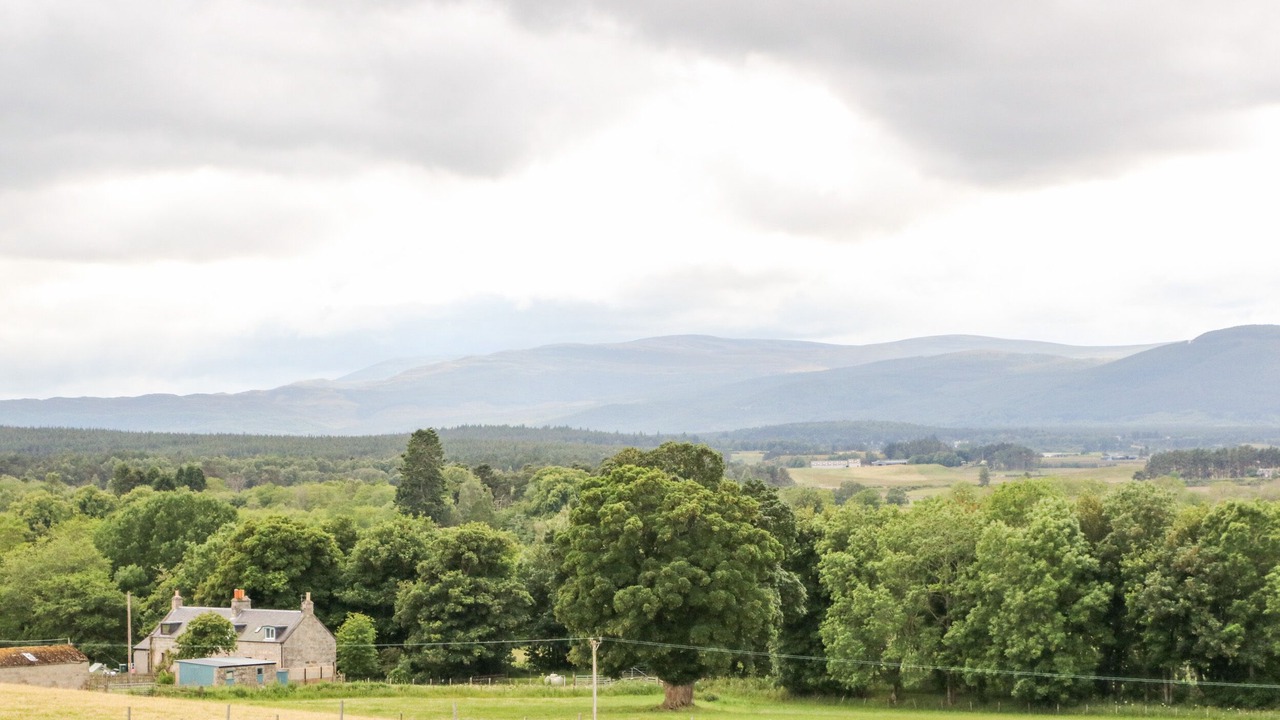 Photo of Outdoor in Nethy Bridge