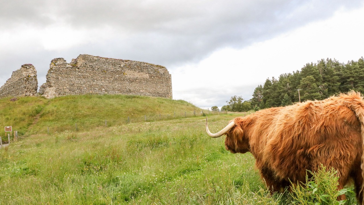 Photo of Outdoor in Nethy Bridge