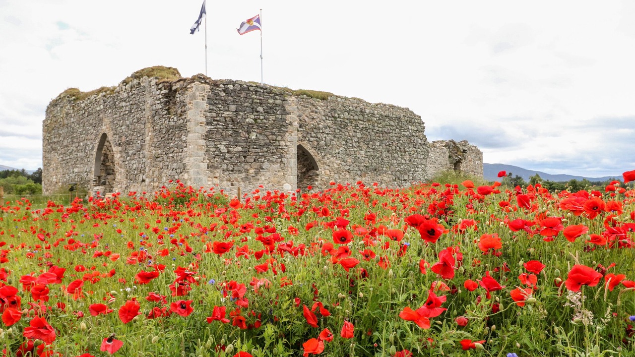 Photo of Outdoor in Nethy Bridge