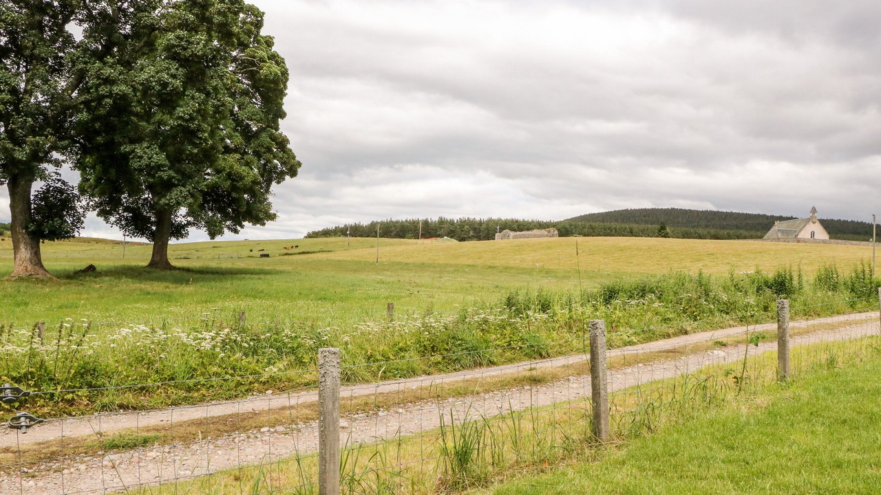 Photo of Outdoor in Nethy Bridge