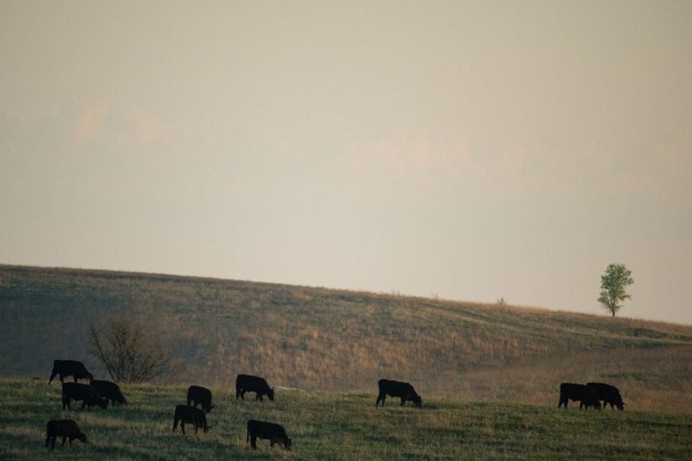 Photo of Others in Loup City