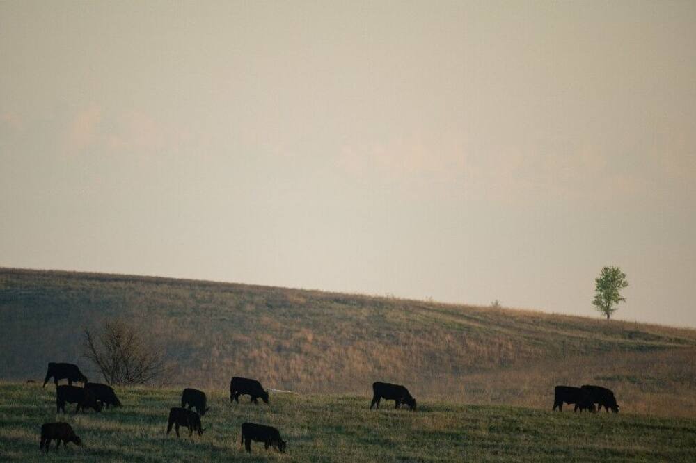 Photo of Others in Loup City