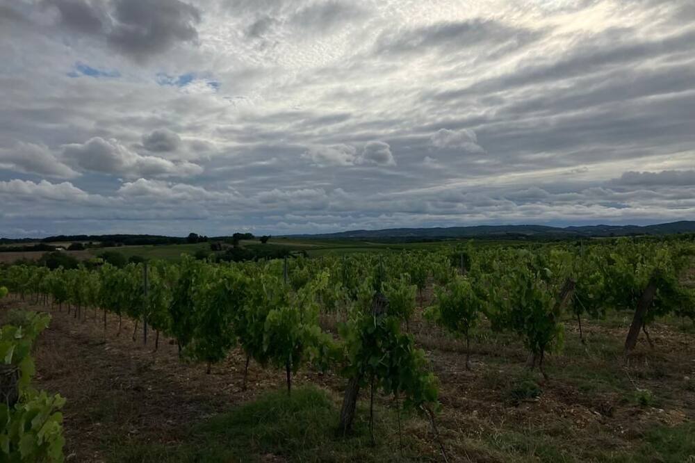 Photo of Others in Frausseilles