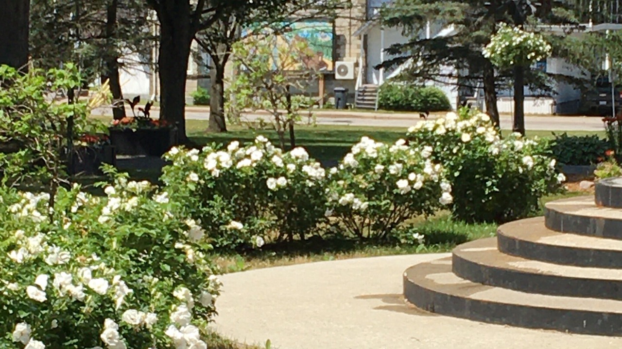 Photo of Outdoor in Montebello