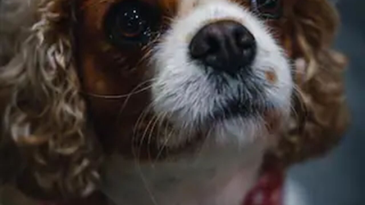 Photo of Others in Bournemouth