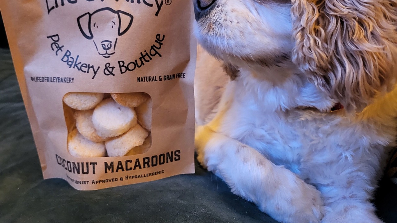 Photo of Others in Bournemouth