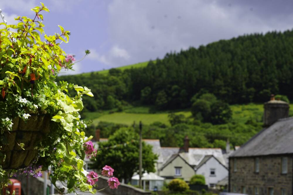 Photo of Others in Llandrillo