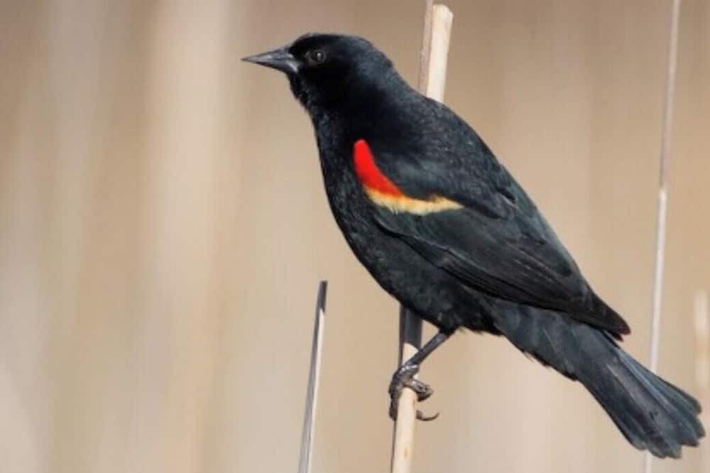 Photo of Others in Hartwick