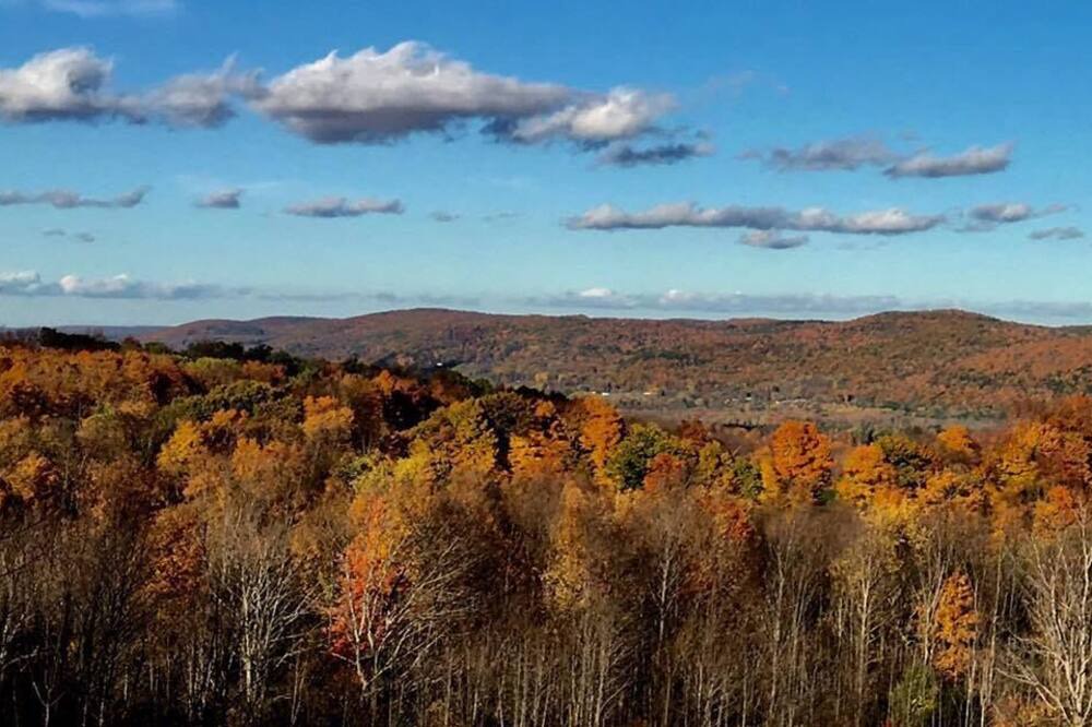 Photo of Others in Hartwick