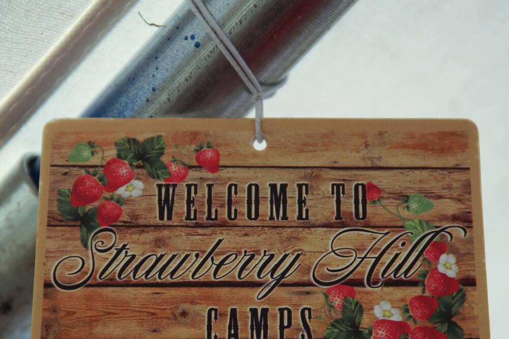 Photo of Others in Hartwick