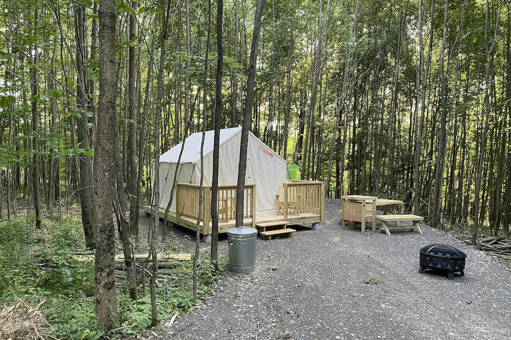 Photo of Others in Hartwick