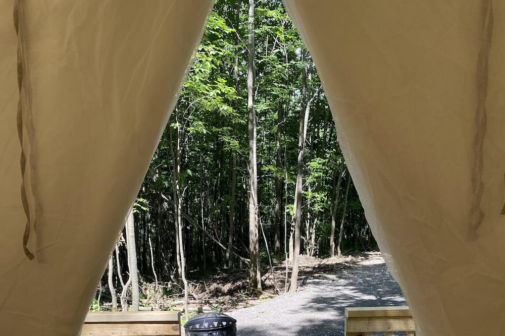 Photo of Others in Hartwick