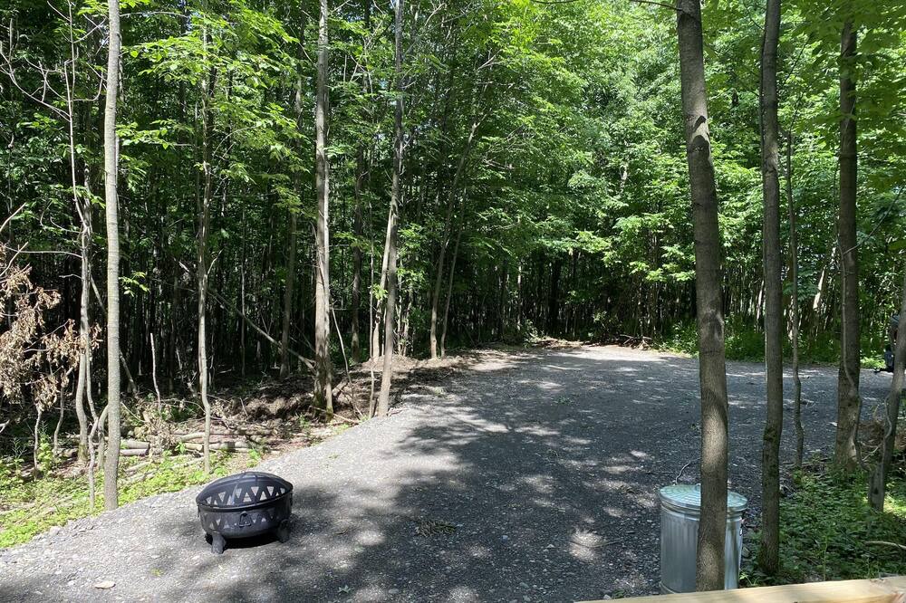 Photo of Others in Hartwick