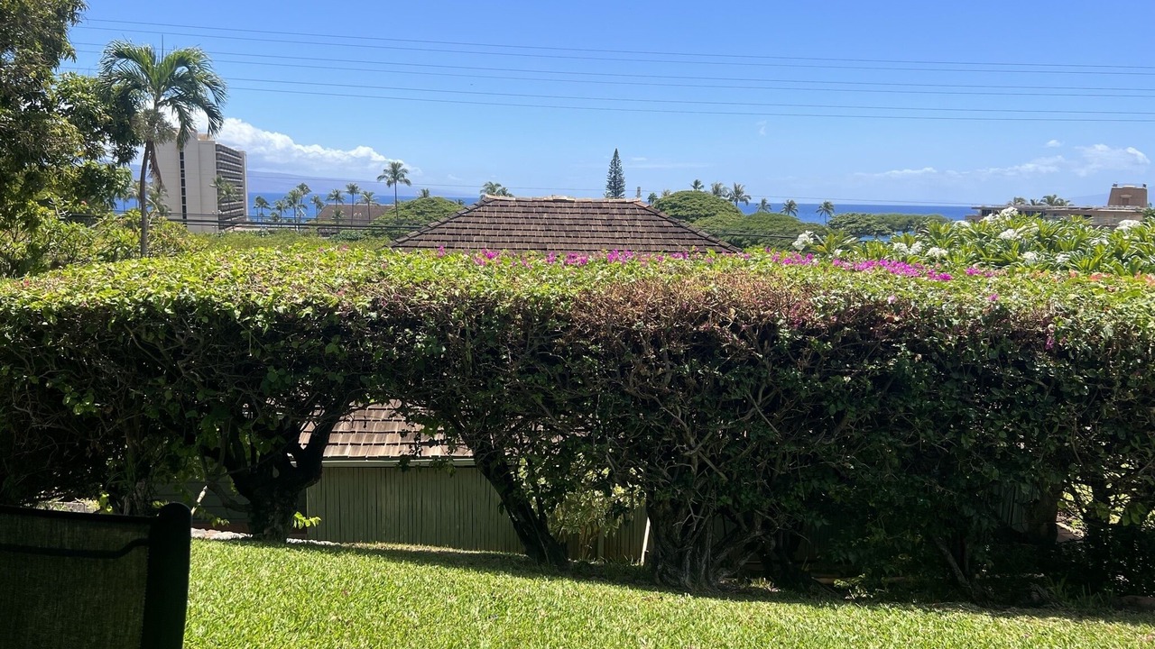 Photo of Outdoor in Kaanapali