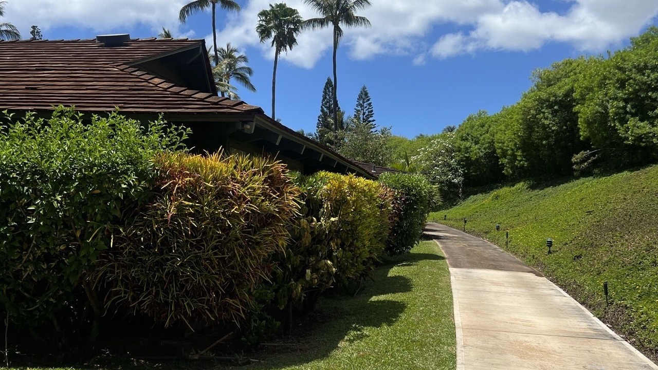 Photo of Outdoor in Kaanapali