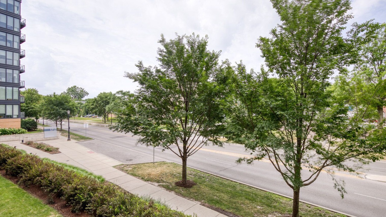 Photo of Outdoor in Evanston