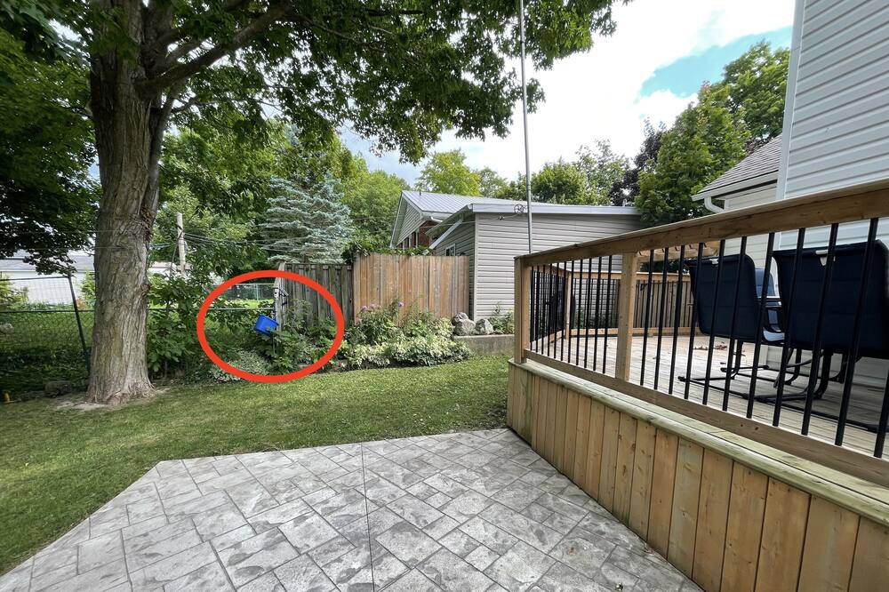 Photo of Others in Clinton