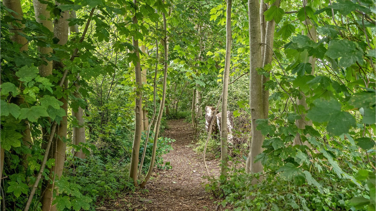 Photo of Outdoor in Elsegarde Strand