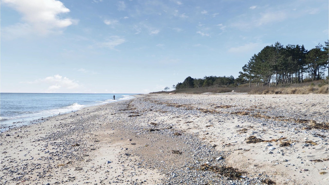 Photo of Others in Elsegarde Strand
