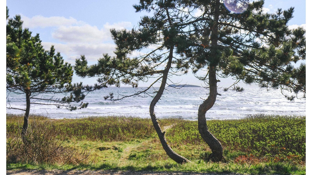 Photo of Outdoor in Elsegarde Strand