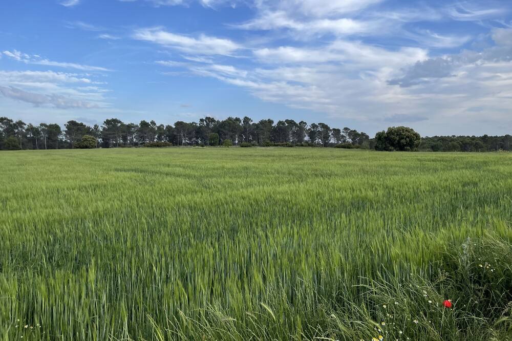 Photo of Outdoor in Chiloeches