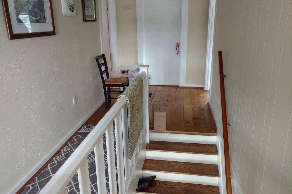 Photo of Others in South Addison