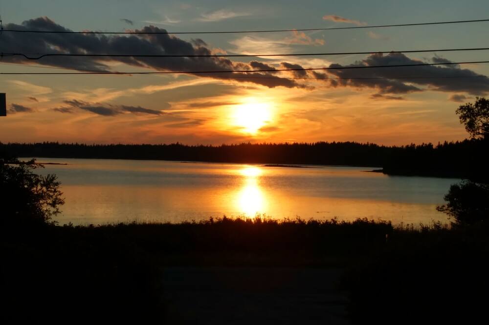 Photo of Others in South Addison