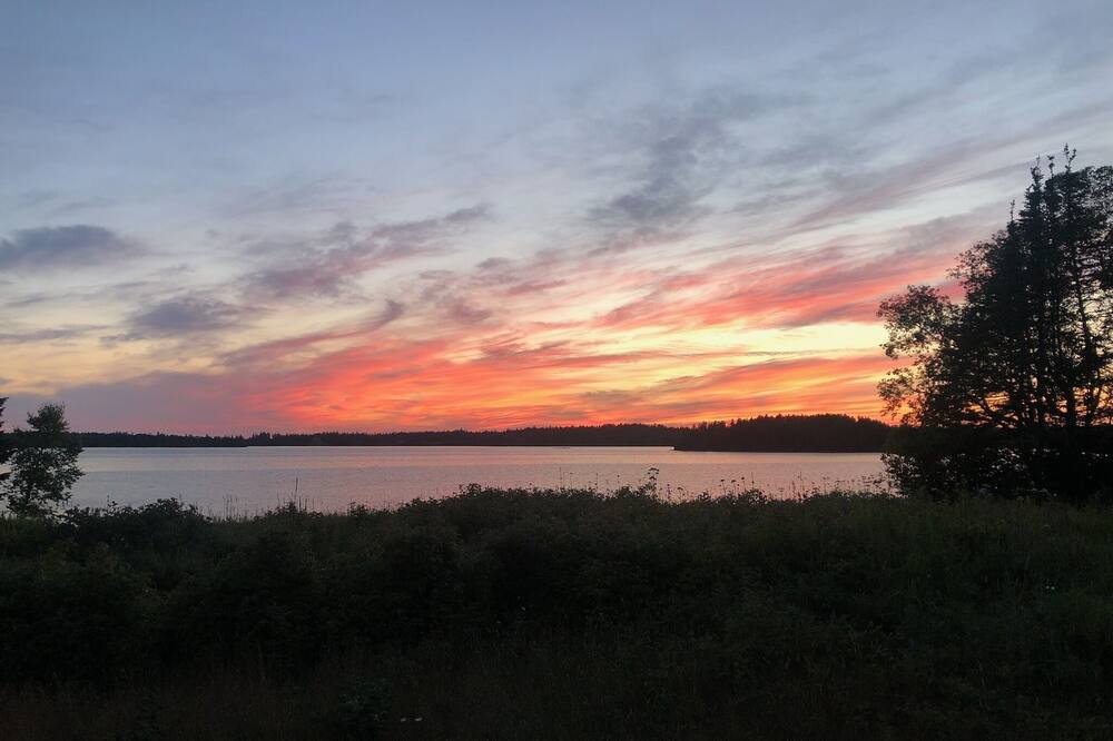 Photo of Others in South Addison