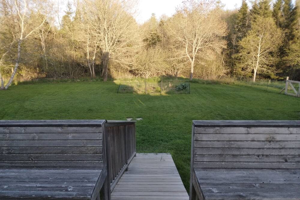 Photo of Outdoor in South Addison