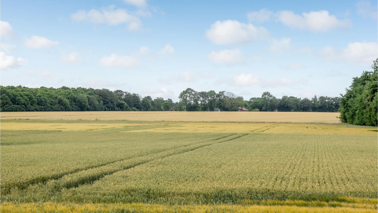 Photo of Others in Tørresø