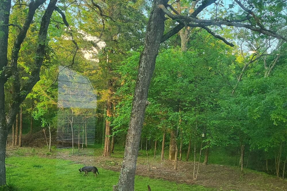 Photo of Outdoor in Proctor