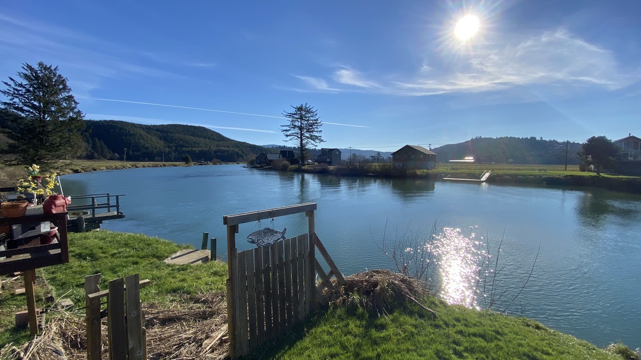 Photo of Others in Woods